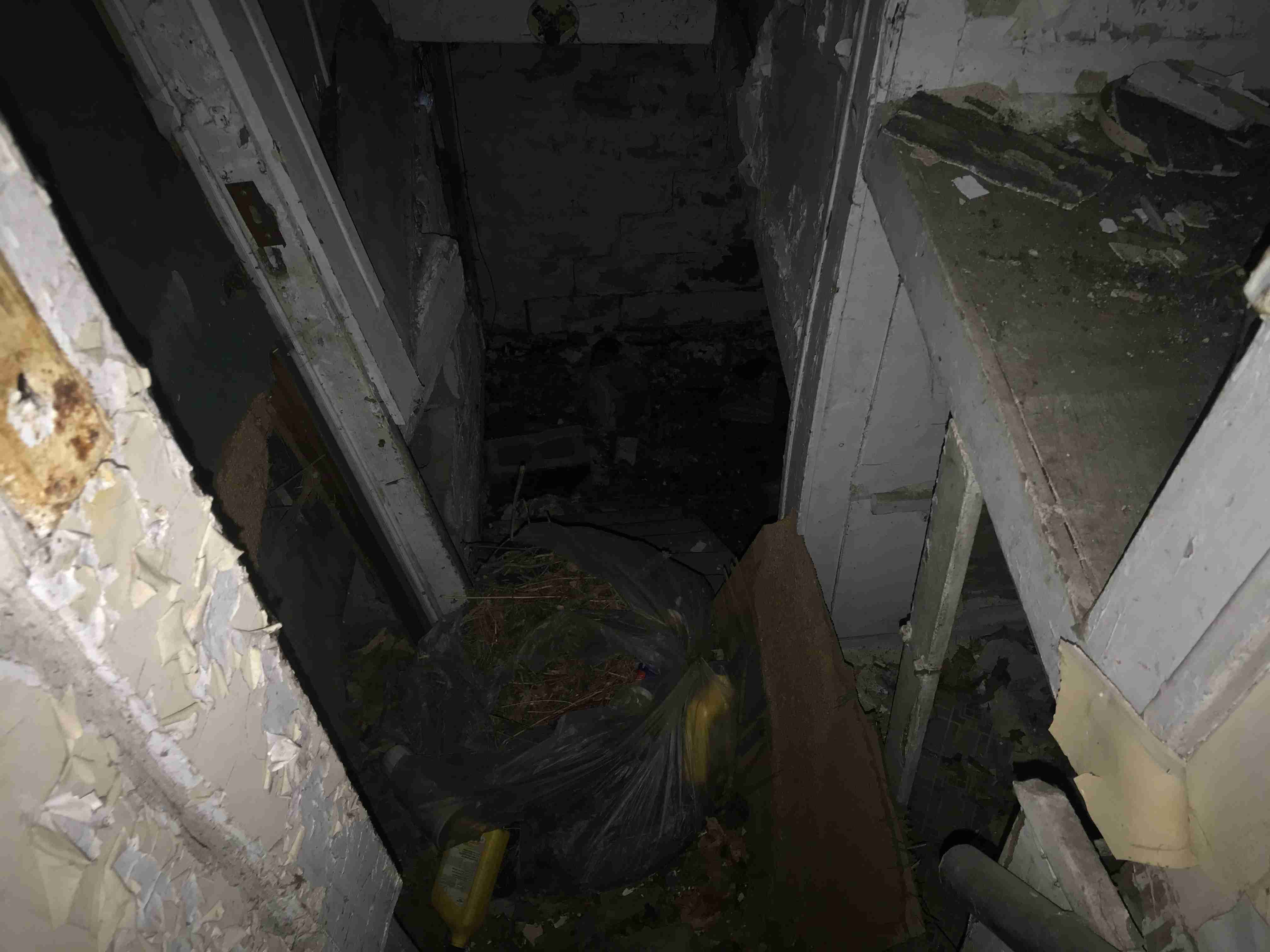 Photo Aug 21, 1 51 01 PM.jpg